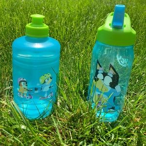 Hooray! Pair of NEW Bluey water bottles- For Real life!